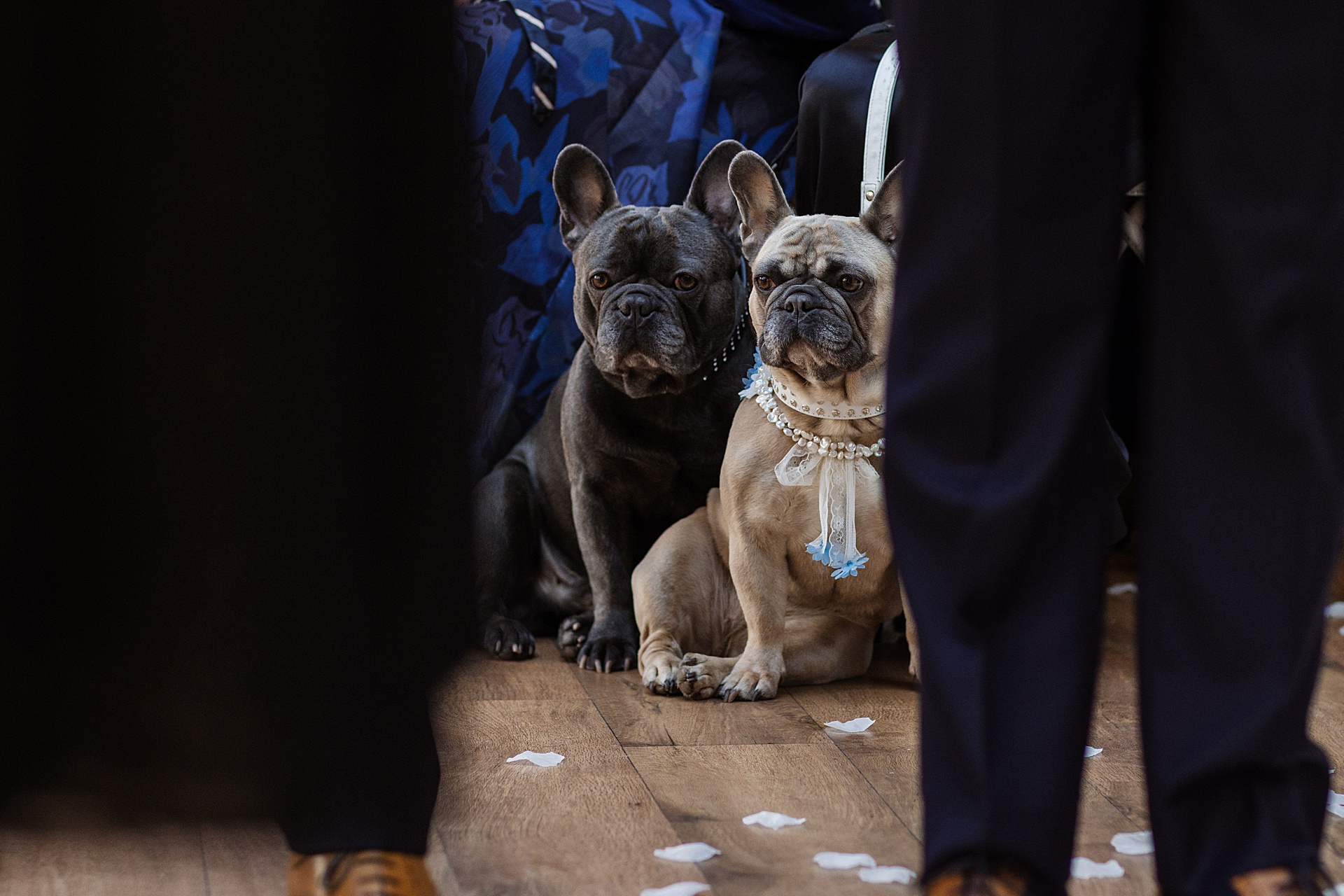 wedding mitton hall pet dog bride groom ceremony